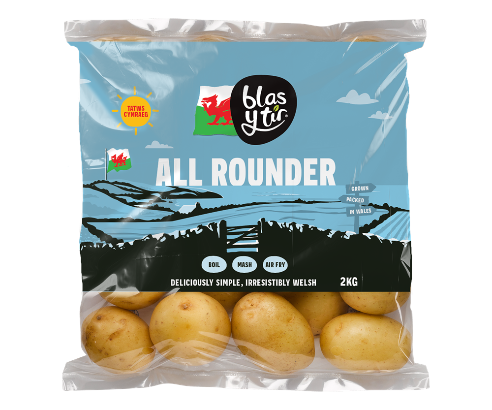 2026-byt-all-rounders